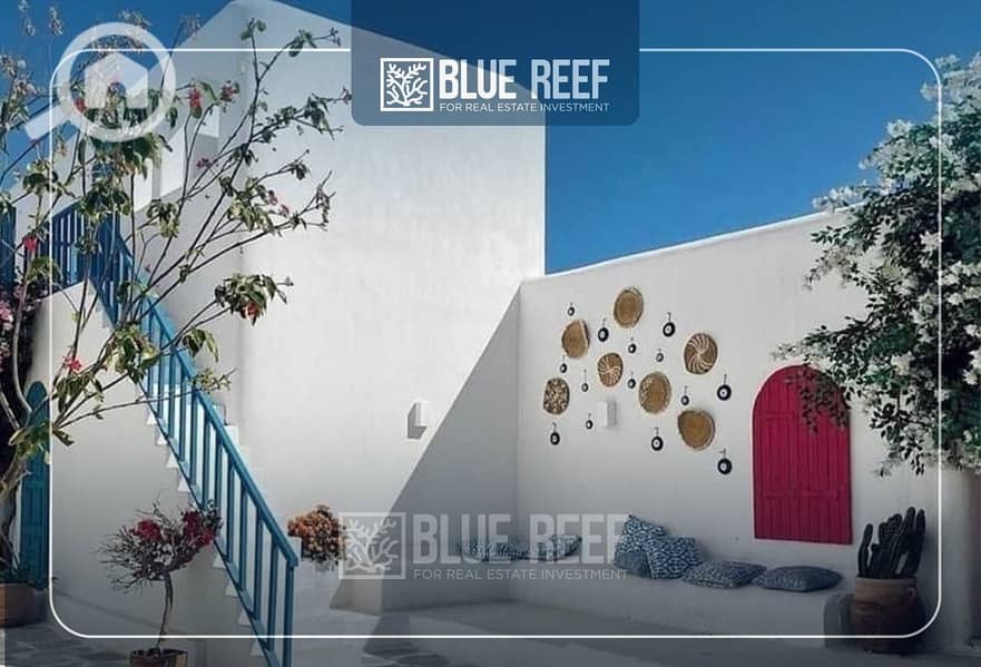 8 WhatsApp Image 2025-02-27 at 2.39. 43 PM (1). jpeg