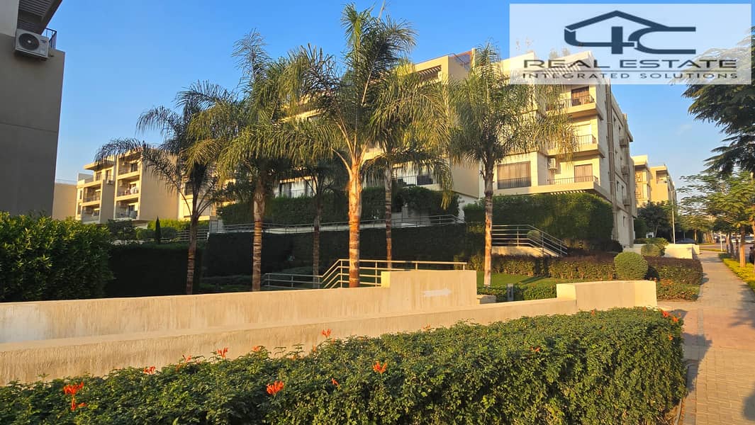 8 20251117_155321. jpg