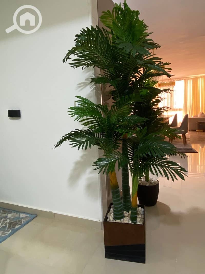 6 WhatsApp Image 2025-11-26 at 1.01. 48 PM (1). jpeg