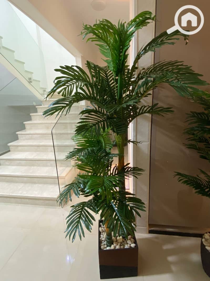 10 WhatsApp Image 2025-11-26 at 1.01. 50 PM. jpeg