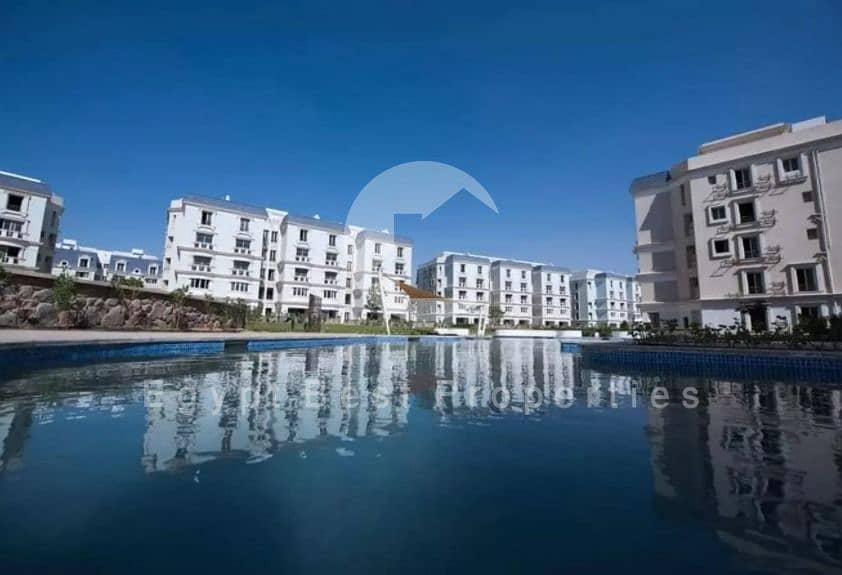 mountain view hyde park project . jpg