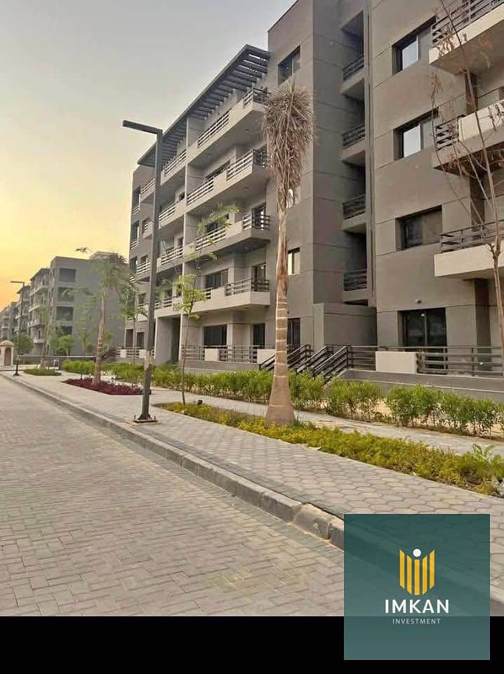 10 568438883_3740998872701117_3764861335654013322_n. jpg