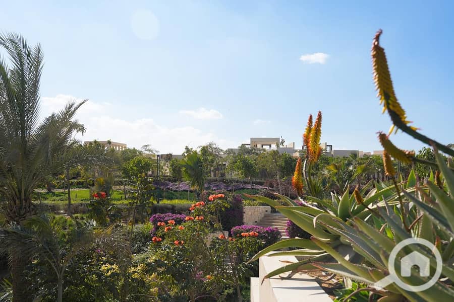 41 WhatsApp Image 2025-11-12 at 16.39. 40_d3f088fe. jpg