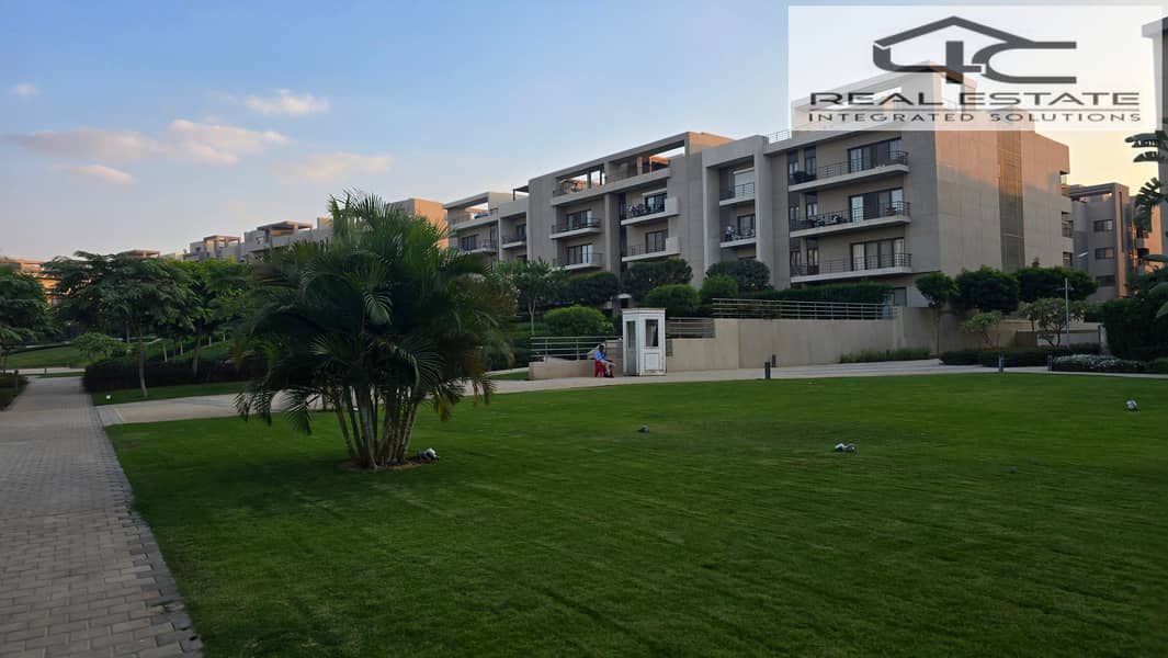 8 20251117_162406. jpg