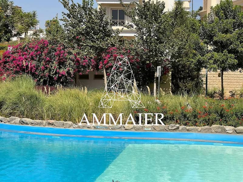 10 cc319d5f-a950-45ce-975b-f1e2b7bf88fa. jpg