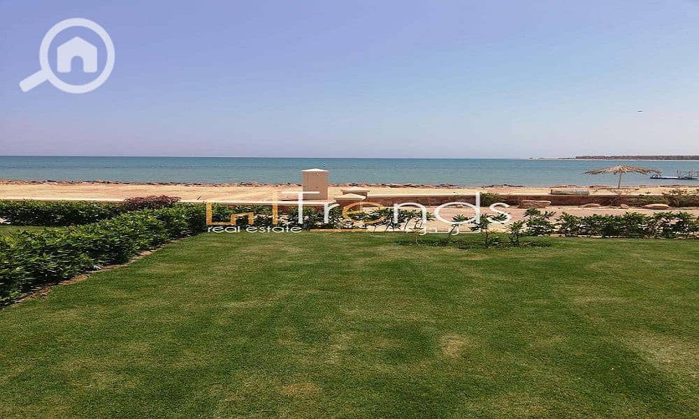 5 7255d312-01ae-41e2-b7d1-1920e46f559a. jpg