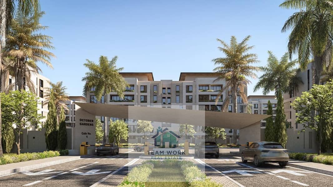 3 98ae3132-b4ea-478f-894b-9a961f3b803e. jpg