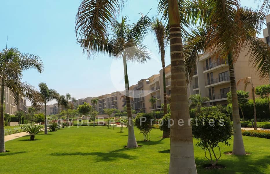 6 Screenshot_5 (1) (Custom). png