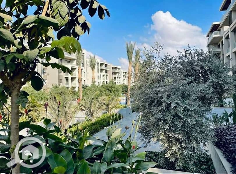 5 448588408_359794047125515_3678276679015292251_n. jpg