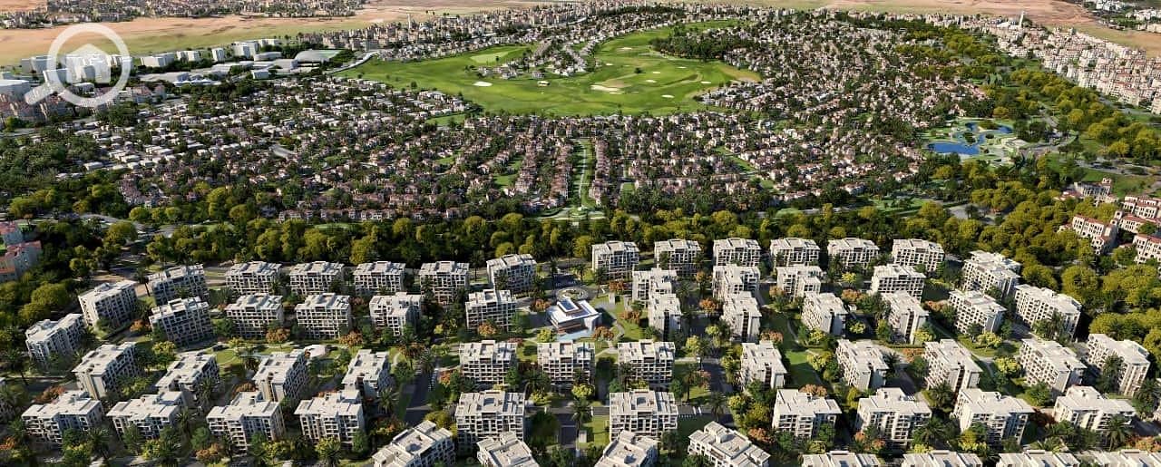 11 587754555_122148612722741452_8997142930892596399_n. jpg