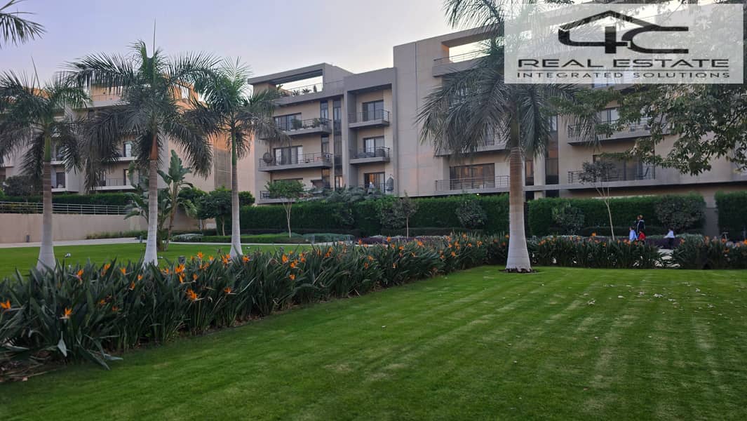 5 20251117_162350. jpg