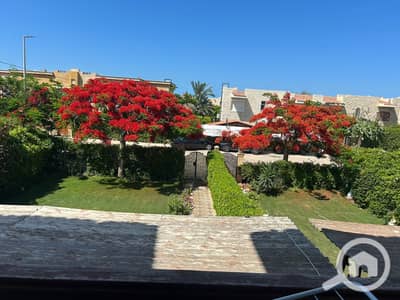 2 Bedroom Chalet for Sale in North Coast, Matruh - WhatsApp Image 2025-11-26 at 1.26. 12 PM. jpeg