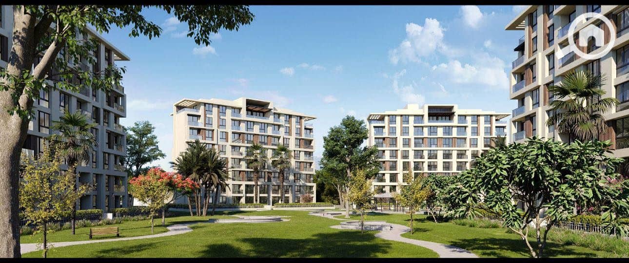 15 557635288_4144706389116707_1765204193456304652_n. jpg