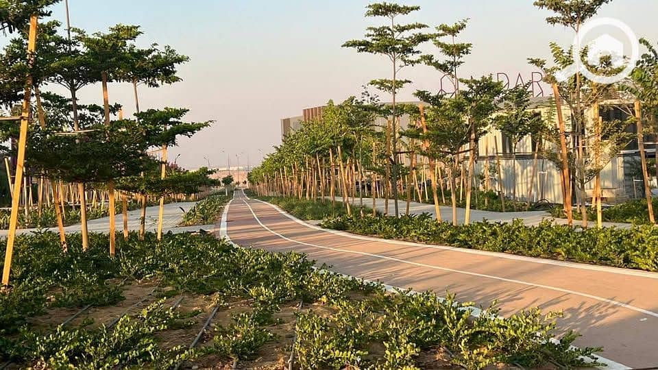 5 570988726_4248806175441554_4452745469371817356_n. jpg