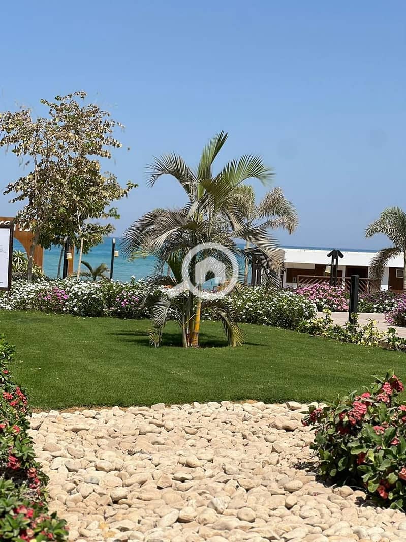 2 b57cca1c-6213-4fe4-94b6-be2c9a9b1f99. jpg