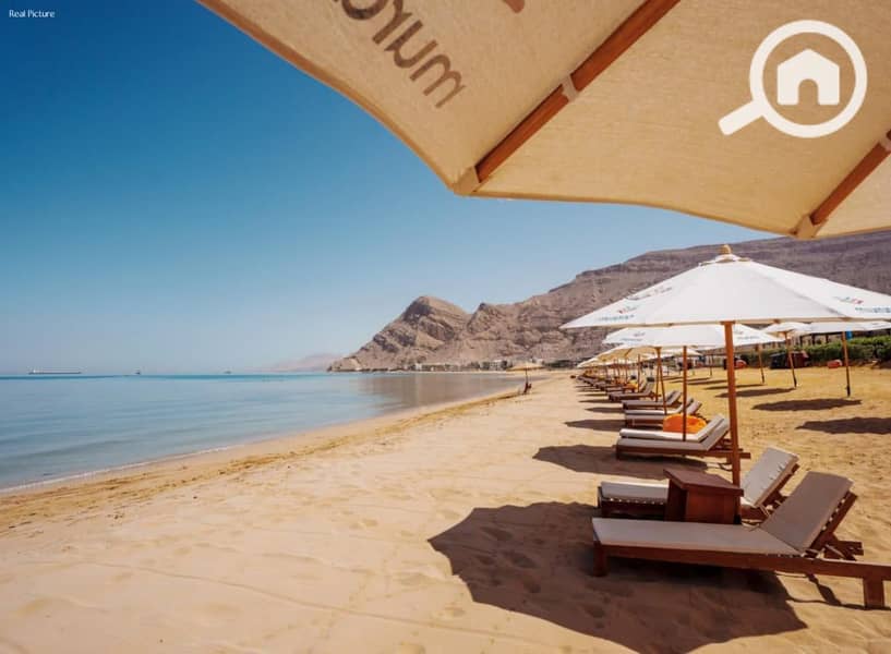 3 8a55cd04-7bdb-4d0b-b705-16f98400e8f0. jpg