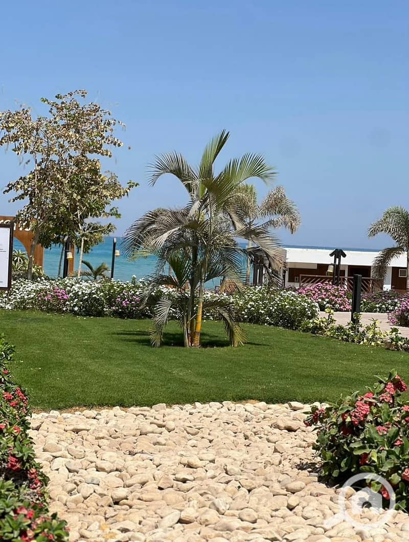 5 88fe854b-3dba-4c99-ae00-f3c21175f562. jpg