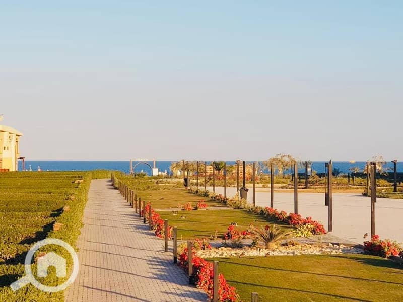 7 c7631d1d-6eba-4c52-89ea-c59653c6f150. jpg