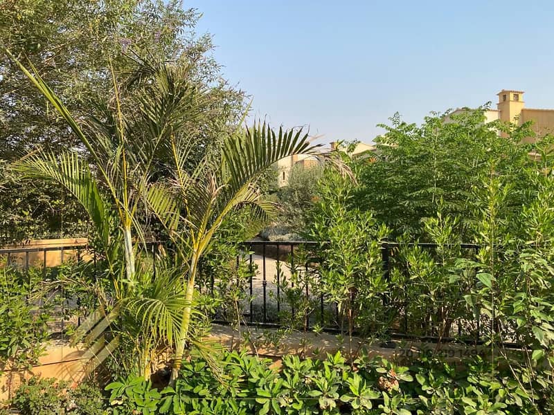 21 2096c138-d9e8-4625-b294-cf158169b52f. jpg