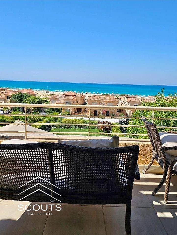 4 480908455_1313411839915266_7789022850022959719_n. jpg