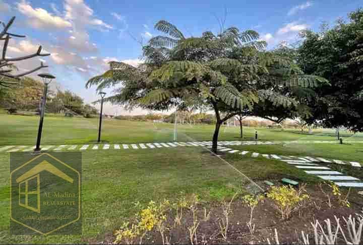 1000461553. jpg 1000461553. jpg