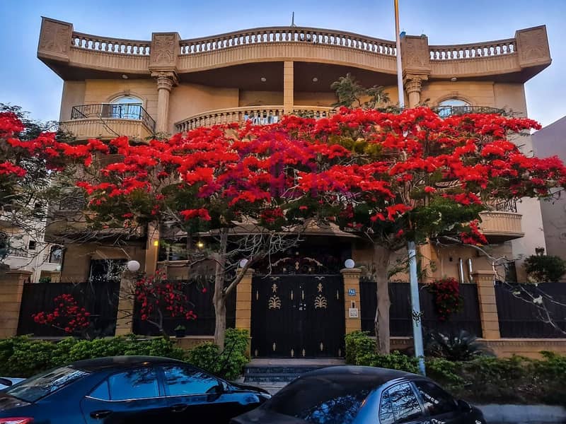 2 photo_5852914911548214345_y. jpg