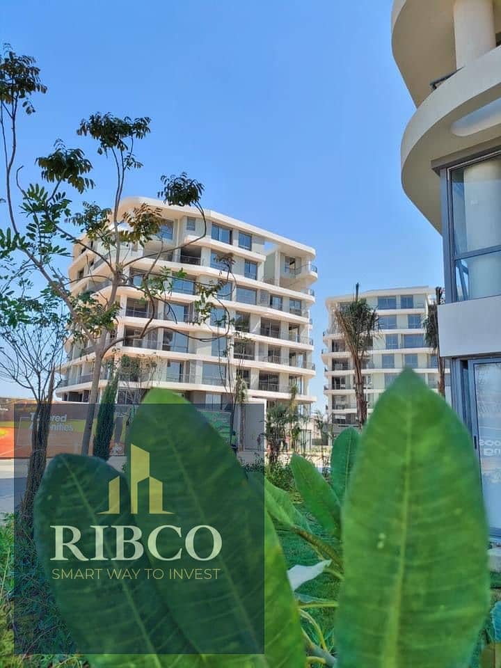 17 IMG-20251125-WA0047. jpg