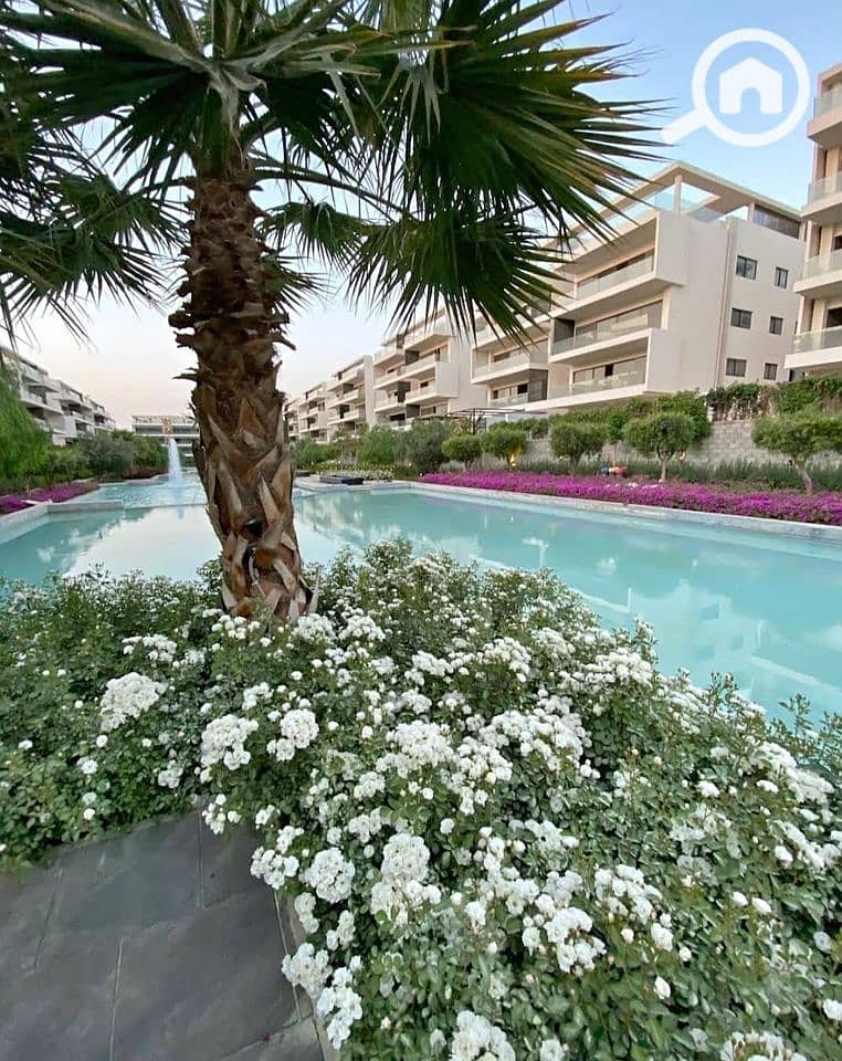 13 427964855_7328101327236284_7215733703748593086_n. jpg