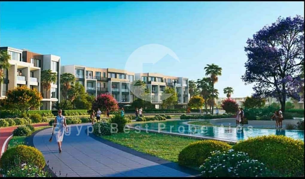 8 بالم-هيلز-بي-اكس-Palm-Hills-PX-12. jpg