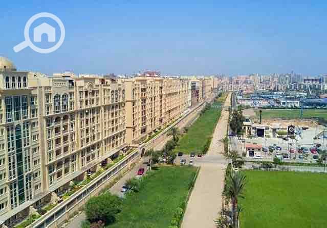 IMG_7693. jpg IMG_7693. jpg