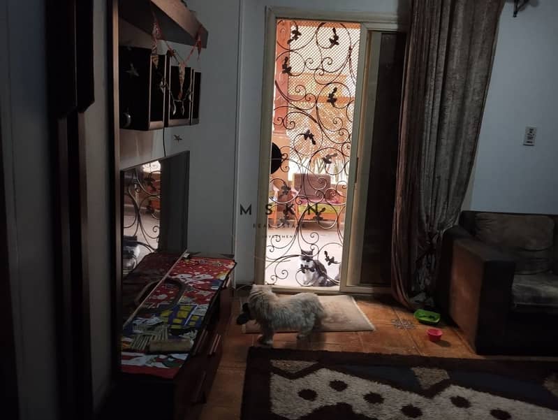 4 photo_2025-11-27 14.35. 53. jpeg