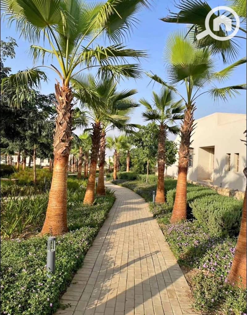 9 520534358_122240519366226581_3016558698081157844_n. jpg