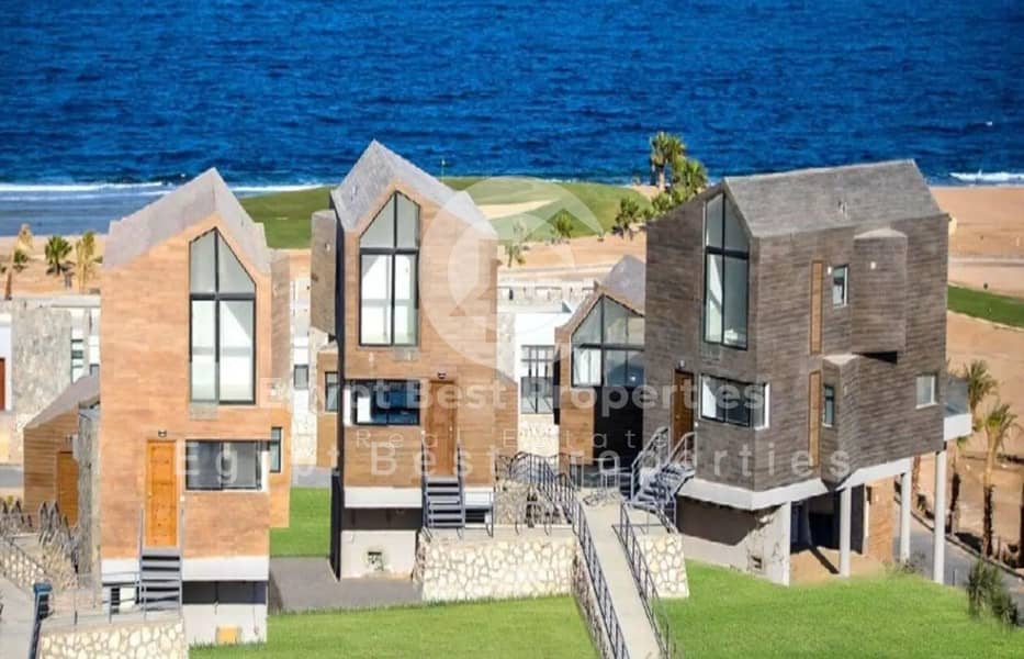 16 7648409-394edo. jpg