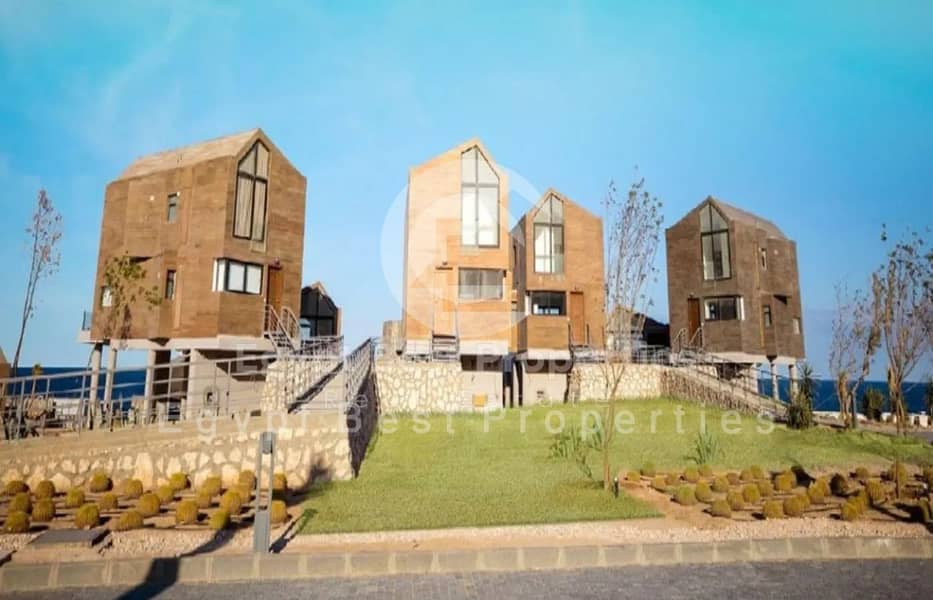 17 7648409-61803o. jpg