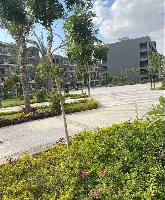 4 496256165_693471753383845_2818268584137340093_n. jpg