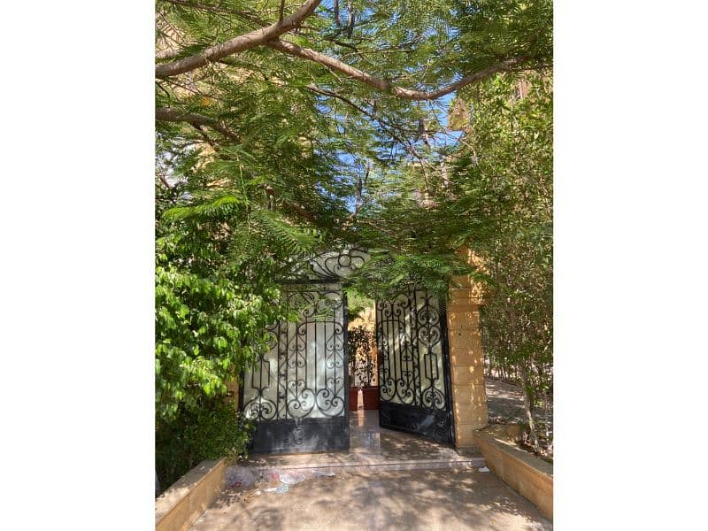 6 WhatsApp Image 2025-08-19 at 12.16. 33 PM. jpg