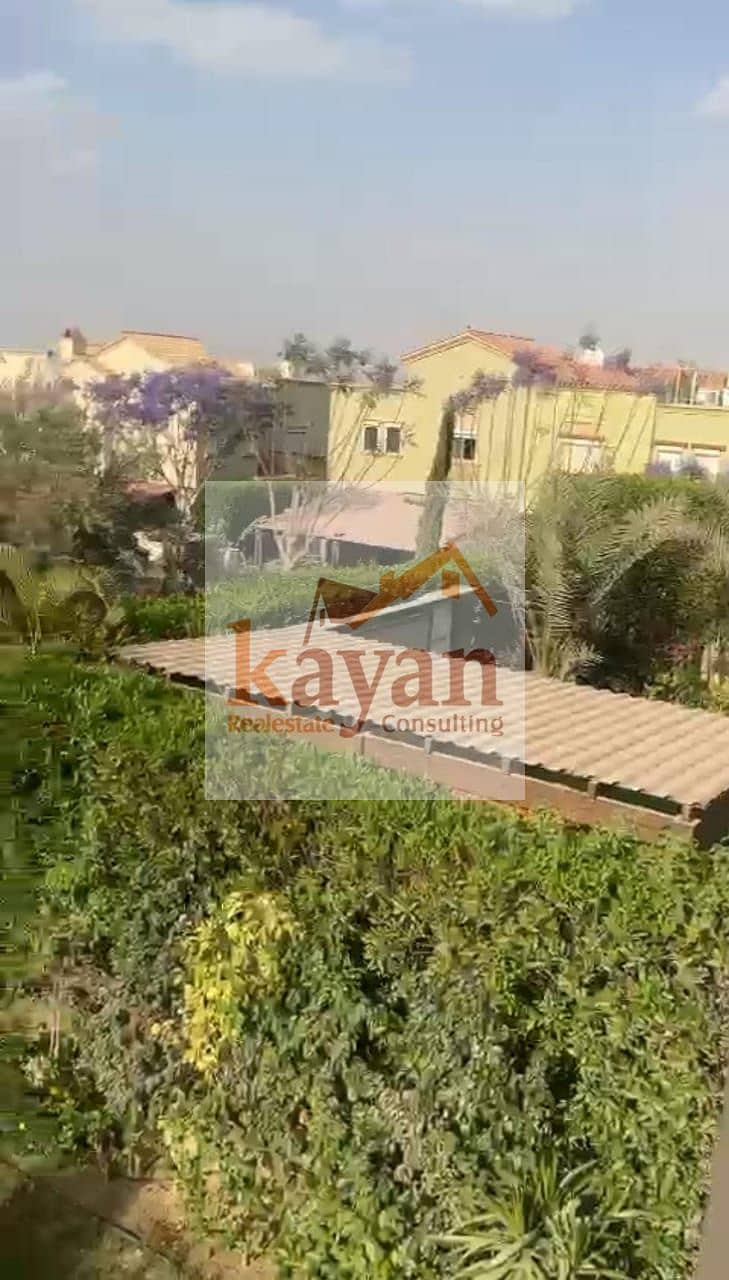 8 51335896-aa83-4337-b50e-656399574d1e. jpg