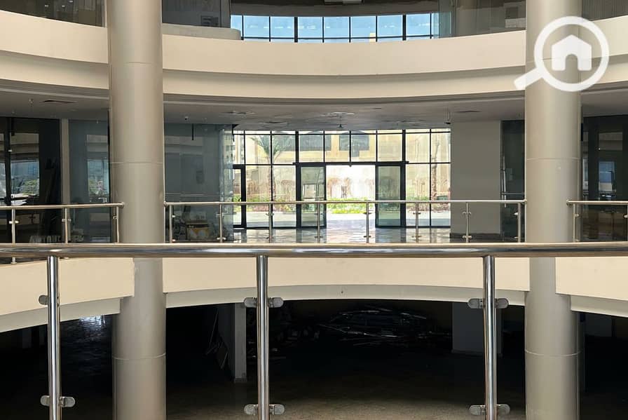 8 Generated Image September 23, 2025 - 1_55PM. png