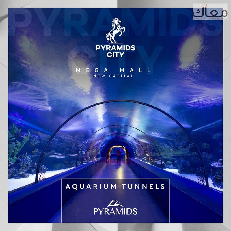 20 ecc99ad3-99db-4b9b-aa56-a2c1cbe77086. jpeg