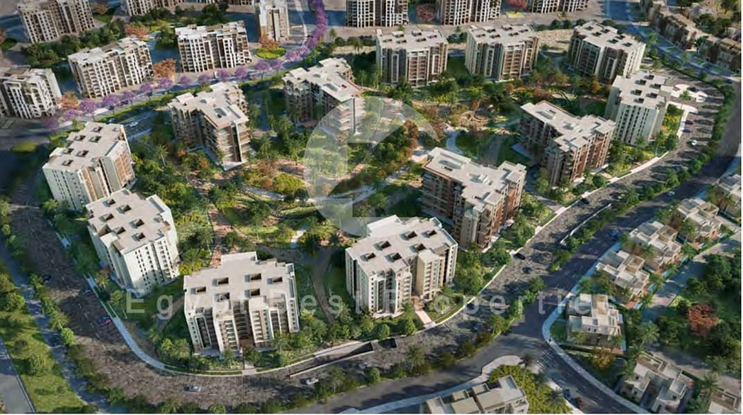 7 zed east 14444. png