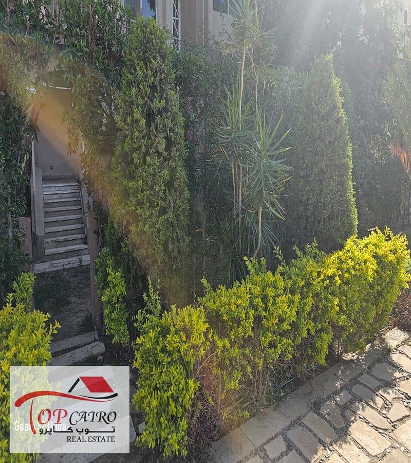 5 IMG-20251127-WA0152_800x900. jpg