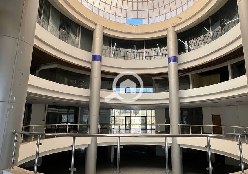 8 Generated Image September 23, 2025 - 2_06PM. png