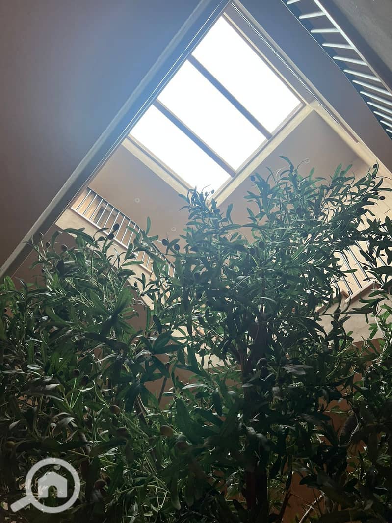 21 WhatsApp Image 2025-11-27 at 15.32. 28_55687c29. jpg