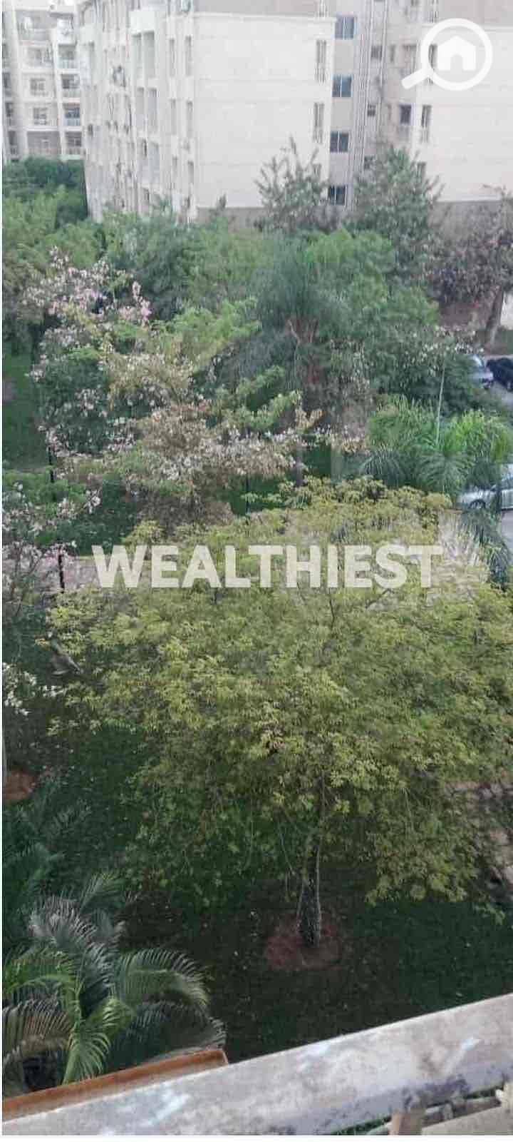 ee5c3202-23cb-45dc-aef4-ae2fe20cbe66. jpg