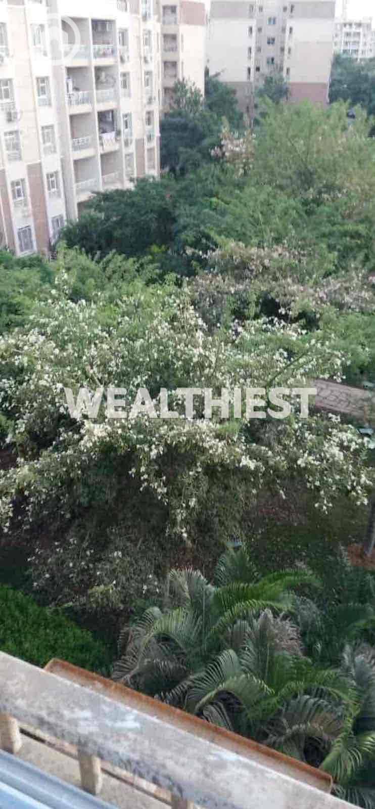 2 c4cad36d-359b-45df-8d5c-6921d9600ca2. jpg