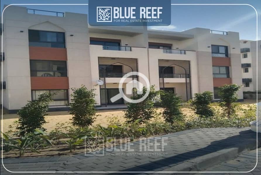 3 WhatsApp Image 2025-11-24 at 12.35. 37 PM. jpeg