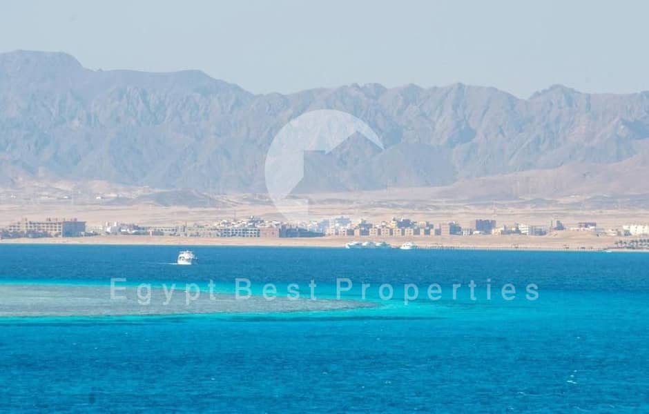 12 soma bay (28). jpeg