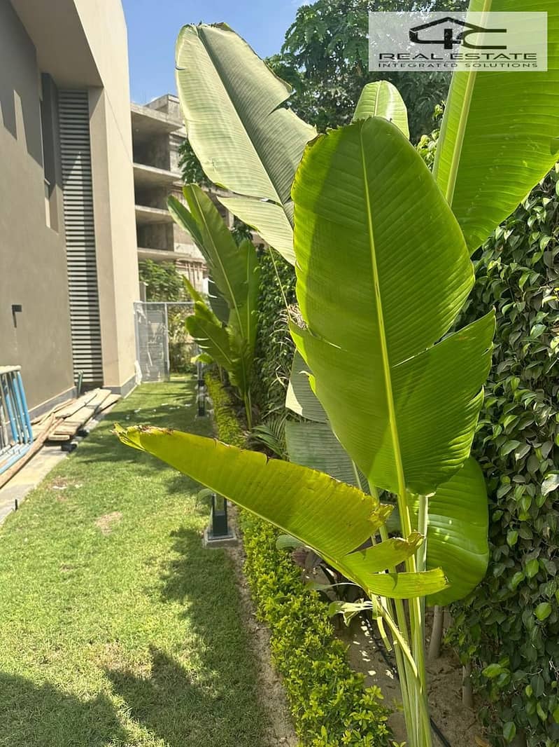 10 WhatsApp Image 2024-11-07 at 3.01. 39 PM (1). jpeg