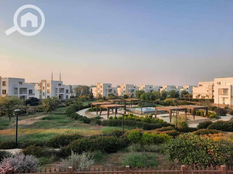 2 WhatsApp Image 2024-10-12 at 11.40. 08_74b3e1d1. jpg