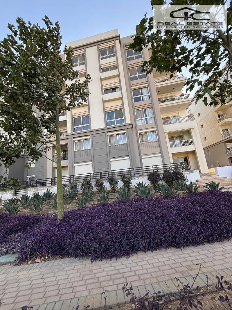 3 WhatsApp Image 2024-10-30 at 2.36. 22 PM (2). jpeg